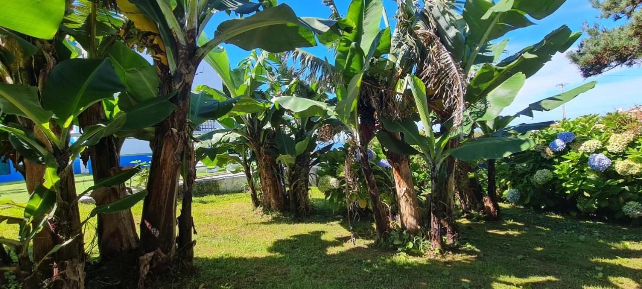 Algarvia Casa Miramarヴィラ エクステリア 写真