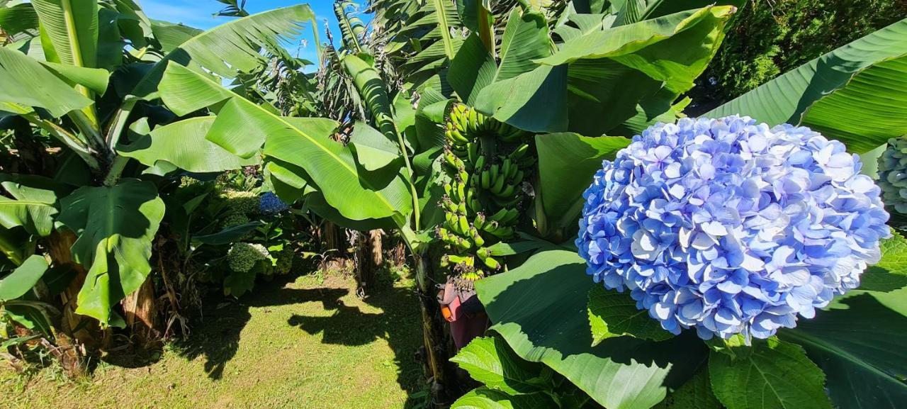 Algarvia Casa Miramarヴィラ エクステリア 写真